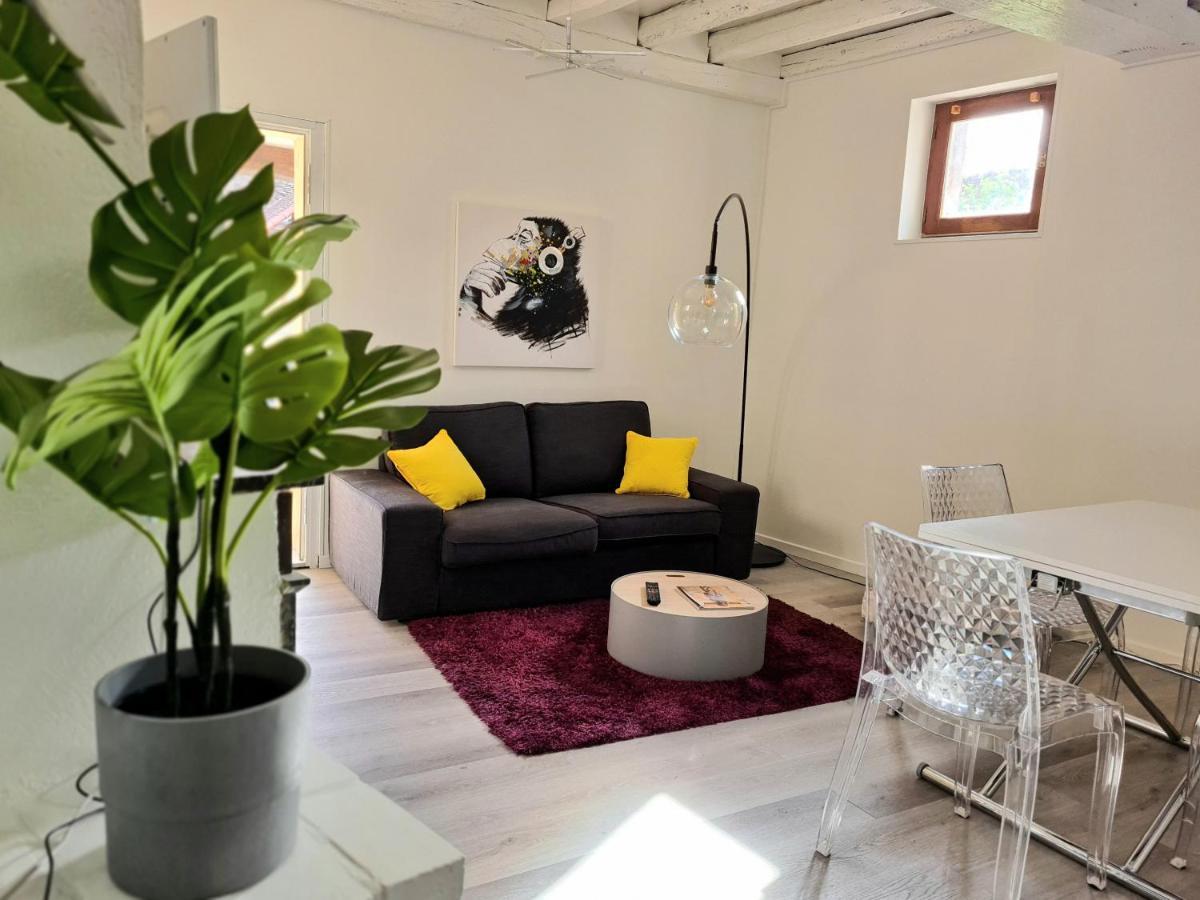 Maison Charme Avec Terrasse Hypercentre, Tres Calme Joigny Eksteriør billede